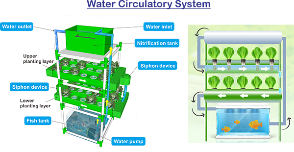 Water circulatory system